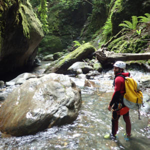 Canyon of Canceigt at Béost in the Pyrenees 64