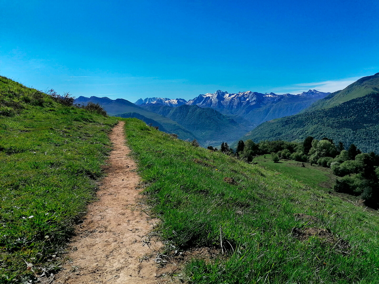 paysage ossau