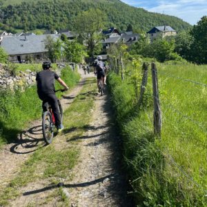 Bicicleta de montaña AE