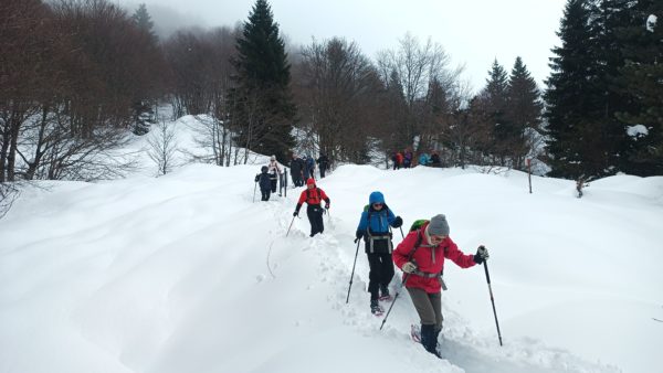 Demi-journée Raquettes "Découverte" – Image 3