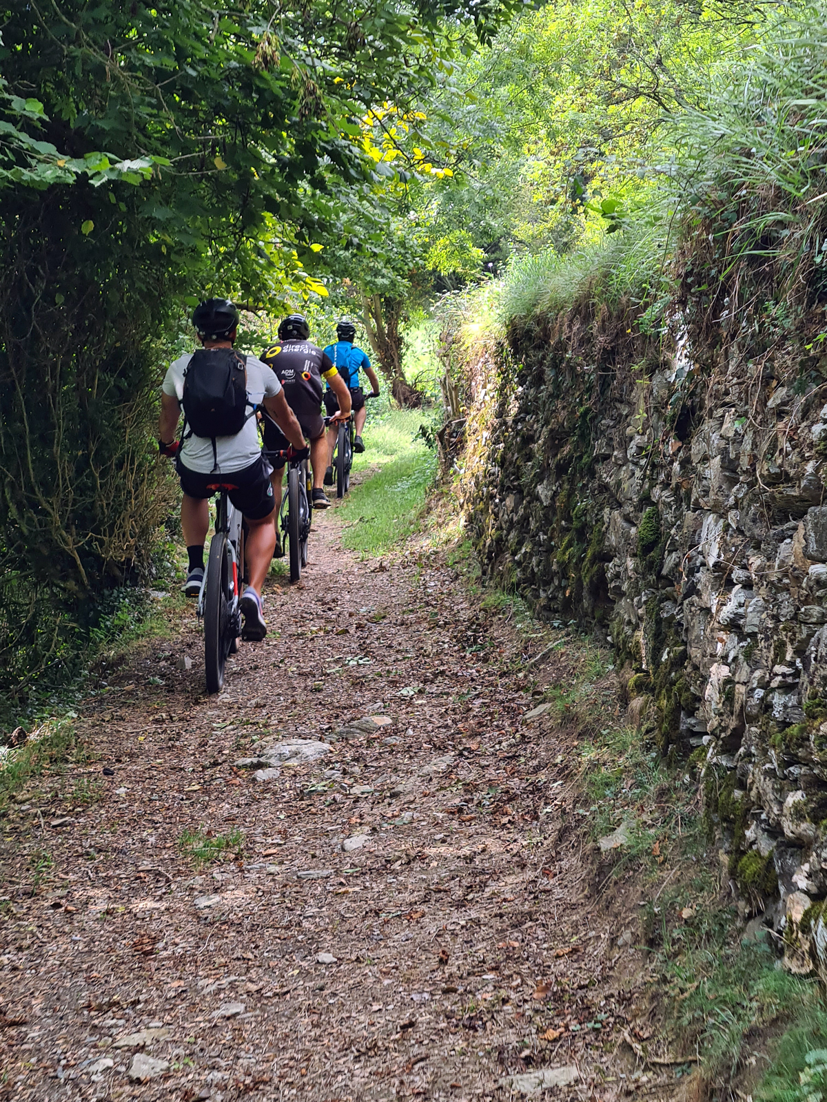 VTT montagne assistance électrique