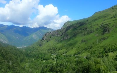 🎉 Aventure Chlorophylle fête ses 25 ans – 25 ans d’aventure en Vallée d’Ossau !