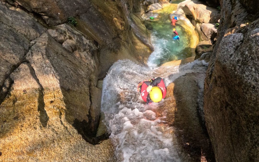 🎉 Aventure Chlorophylle fête ses 25 ans – 25 ans d’aventure en Vallée d’Ossau !