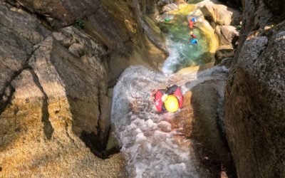 🎉 Aventure Chlorophylle fête ses 25 ans – 25 ans d’aventure en Vallée d’Ossau !