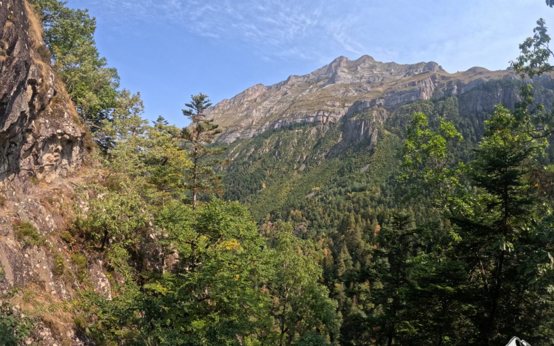 🌿 Activités nature en famille : s’aventurer ensemble dans les Pyrénées Atlantiques