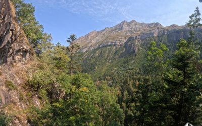 🌿 Activités nature en famille : s’aventurer ensemble dans les Pyrénées Atlantiques
